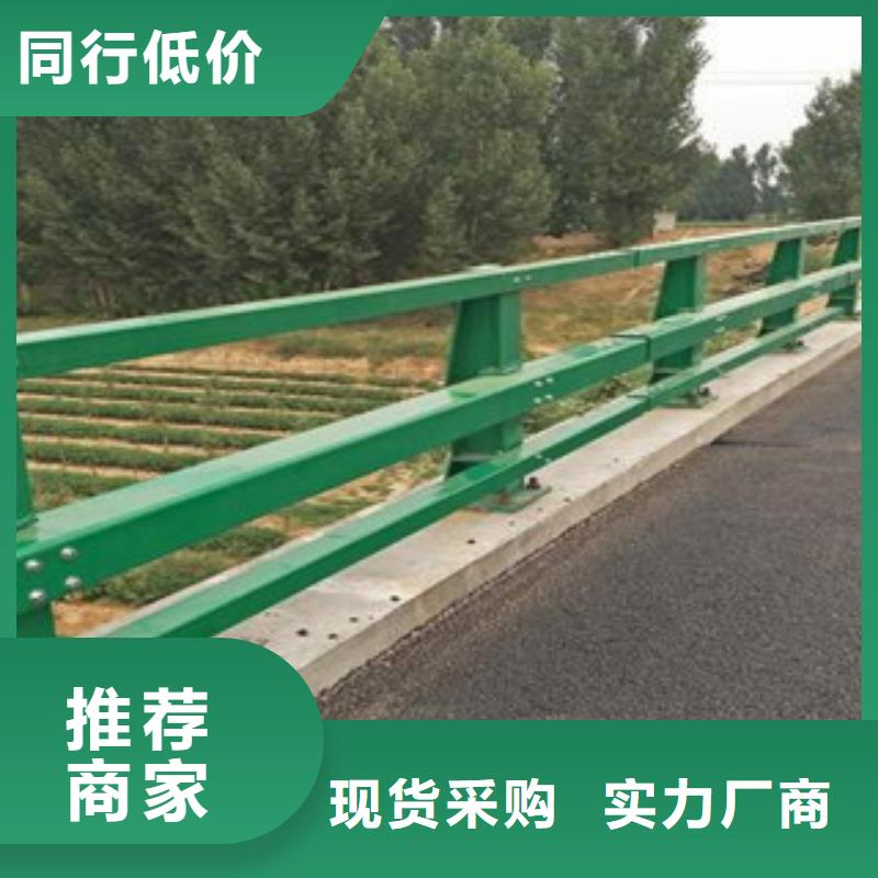 (辰铭)桥梁护栏质量可靠琼中县实体厂家