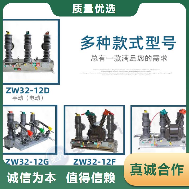 真空断路器高压限流熔断器货源报价