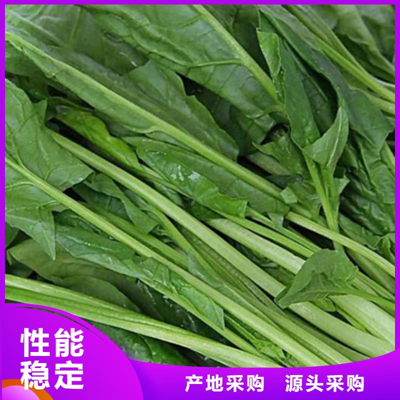 菠菜粉价格实惠