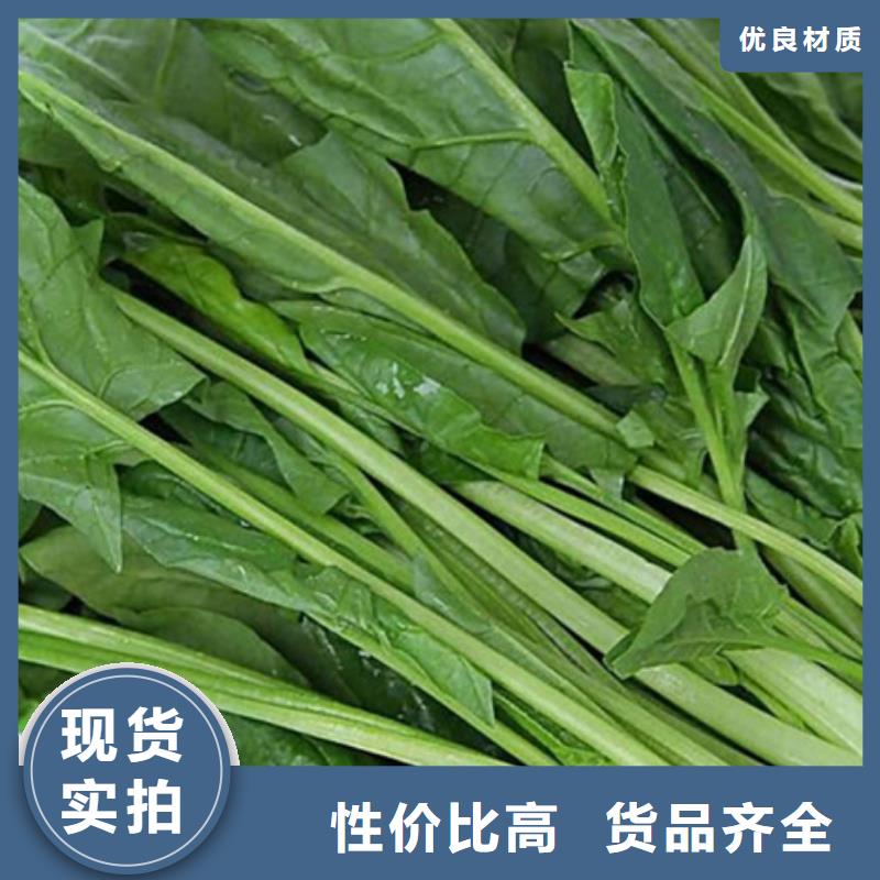 菠菜粉择优推荐