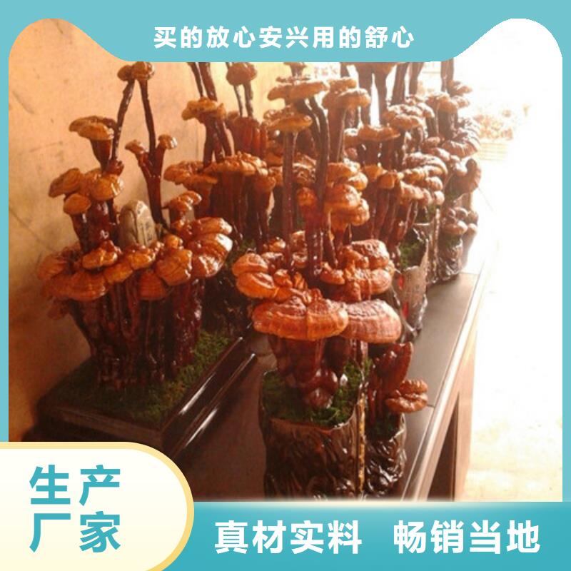 
灵芝粉高性价比