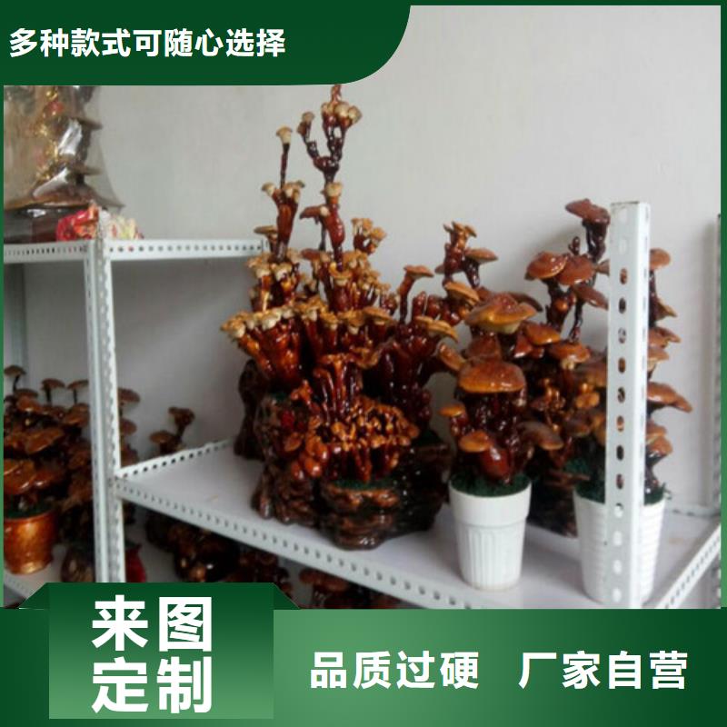 价格实惠的孢子灵芝粉厂家