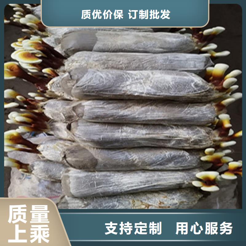 灵芝超微粉
品牌厂家价格优惠