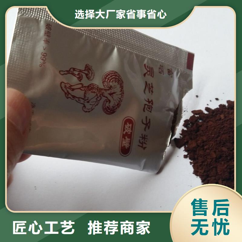 灵芝片厂销价优