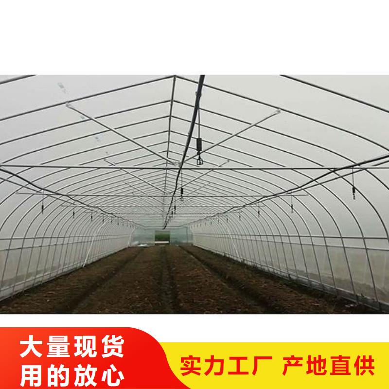 广东省珠海市凤山街道单体温室承诺守信2024