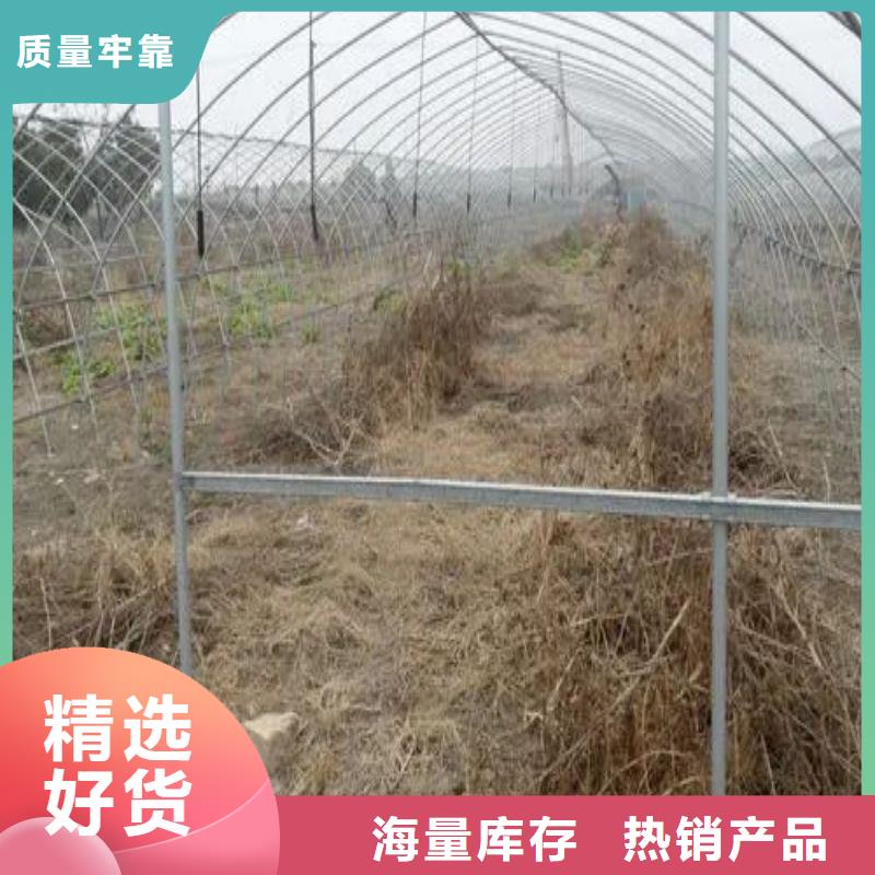 西和县连栋大棚钢管厂下单