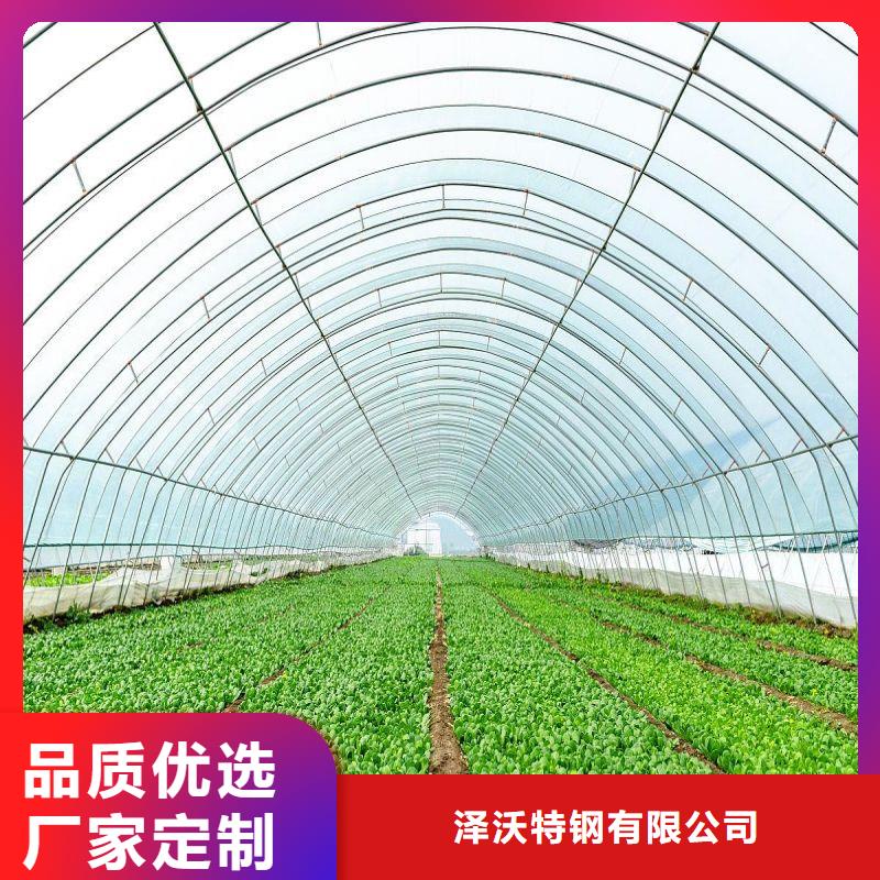 华容连栋大棚种植产品介绍2024