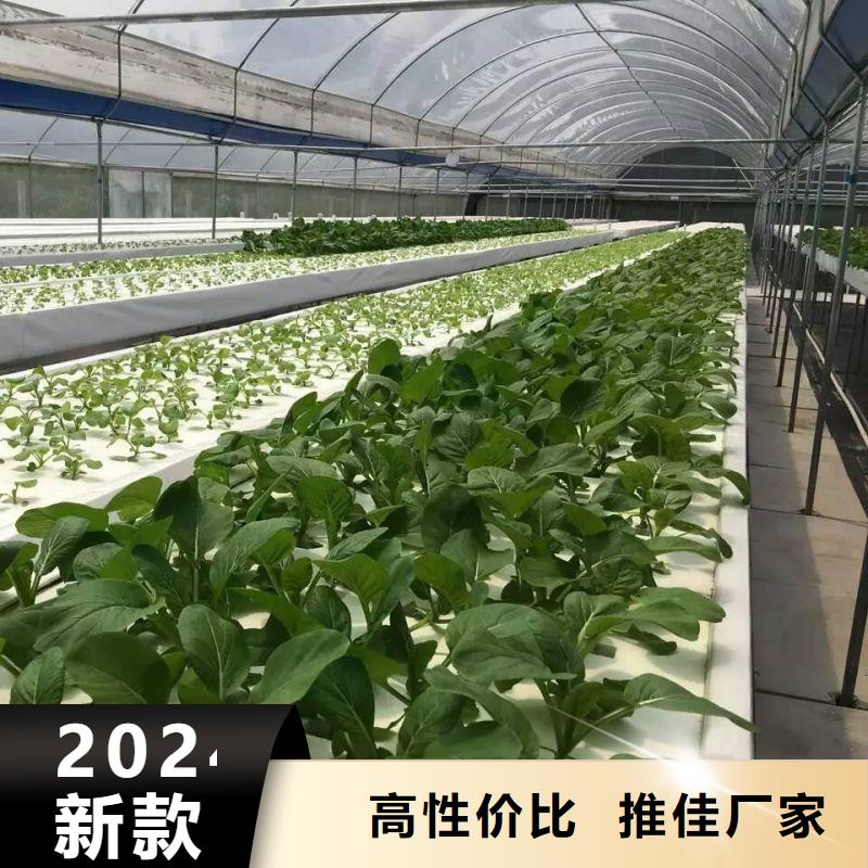 桃源无锡连栋大棚购买2024