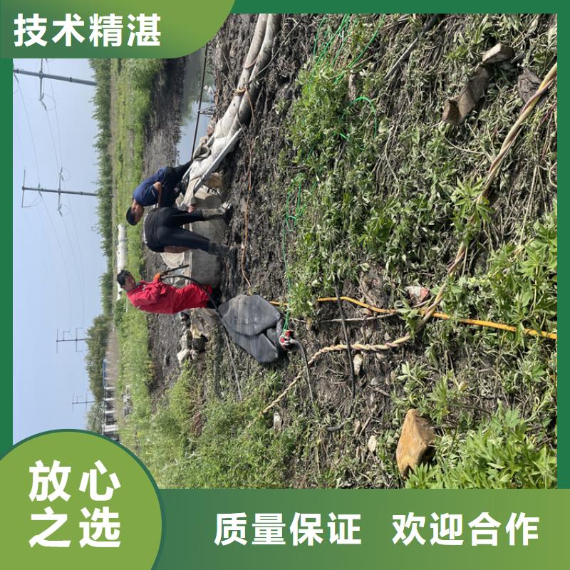 【金龙】临高县水下堵漏公司-承接各种潜水工程