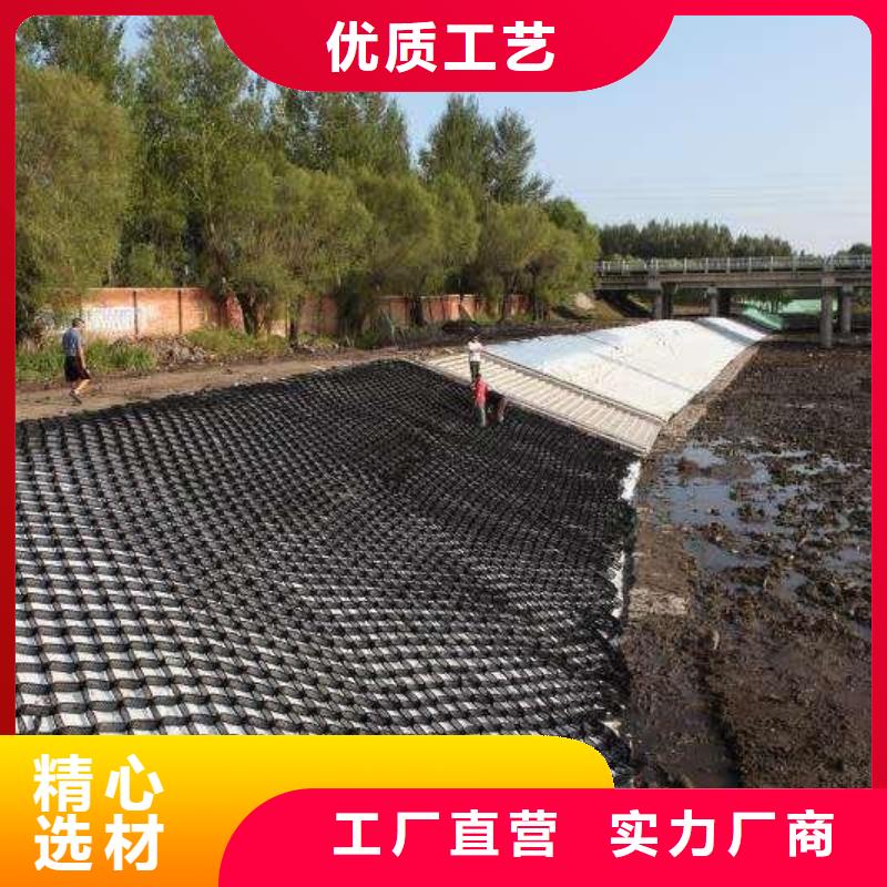 土工格室单向塑料土工格栅现货满足大量采购