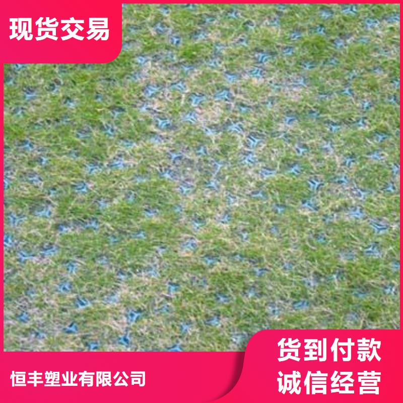 植草格【PVC防水卷材】大量现货