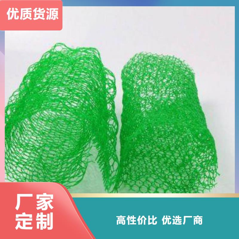 【三维植被网塑料土工格栅一致好评产品】