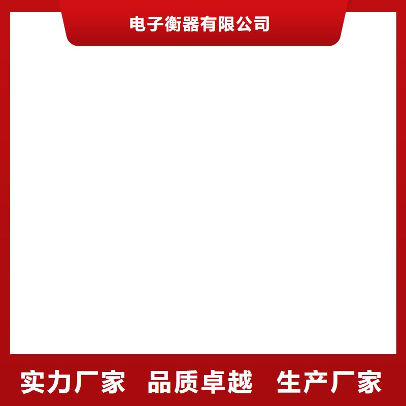 地磅仪表【电子吊磅】价格地道