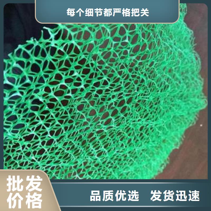 直供[鼎诺]三维植被网三维复合排水网专注细节使用放心