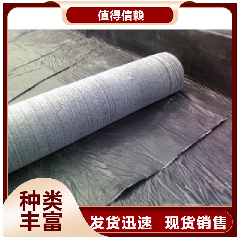【防水毯】三维水土保护毯厂家定制