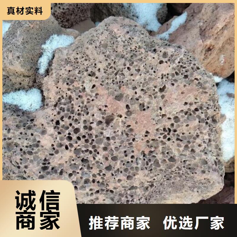 反硝化池用火山岩陶粒品质放心