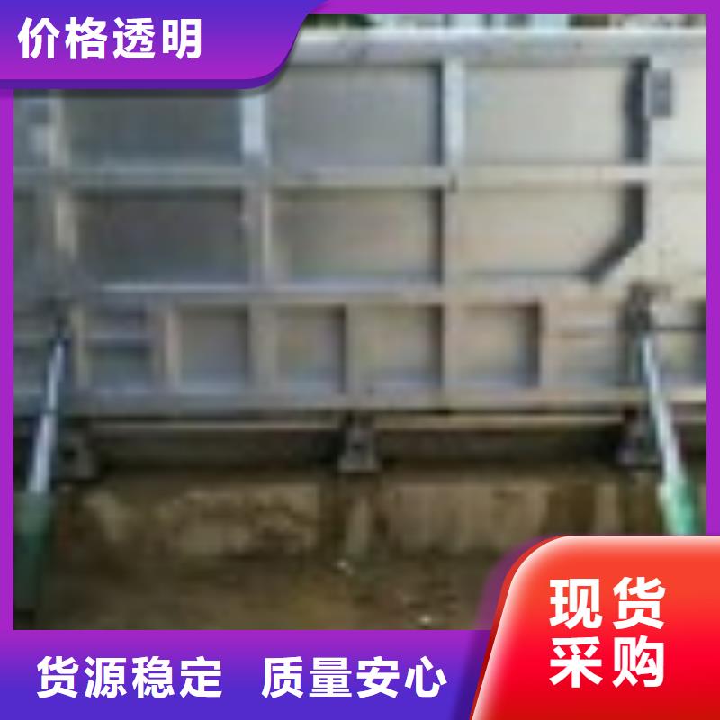 定轮钢制闸门价格公道