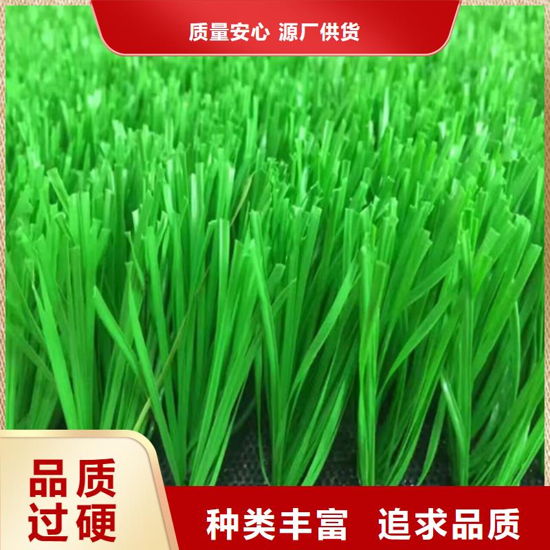 周边(百锐)【人造草坪】塑胶跑道用品质说话