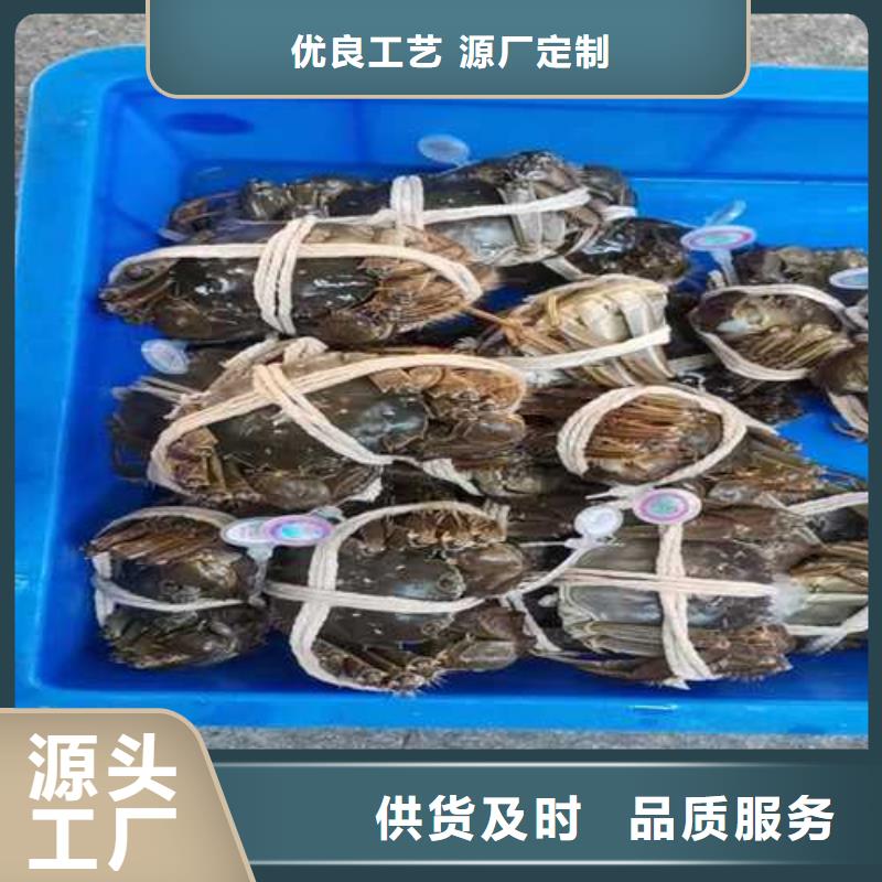 正宗阳澄湖大闸蟹价格表