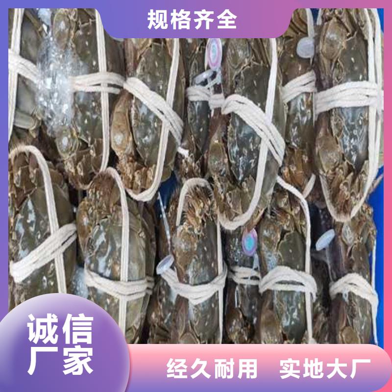 大闸蟹现货定做