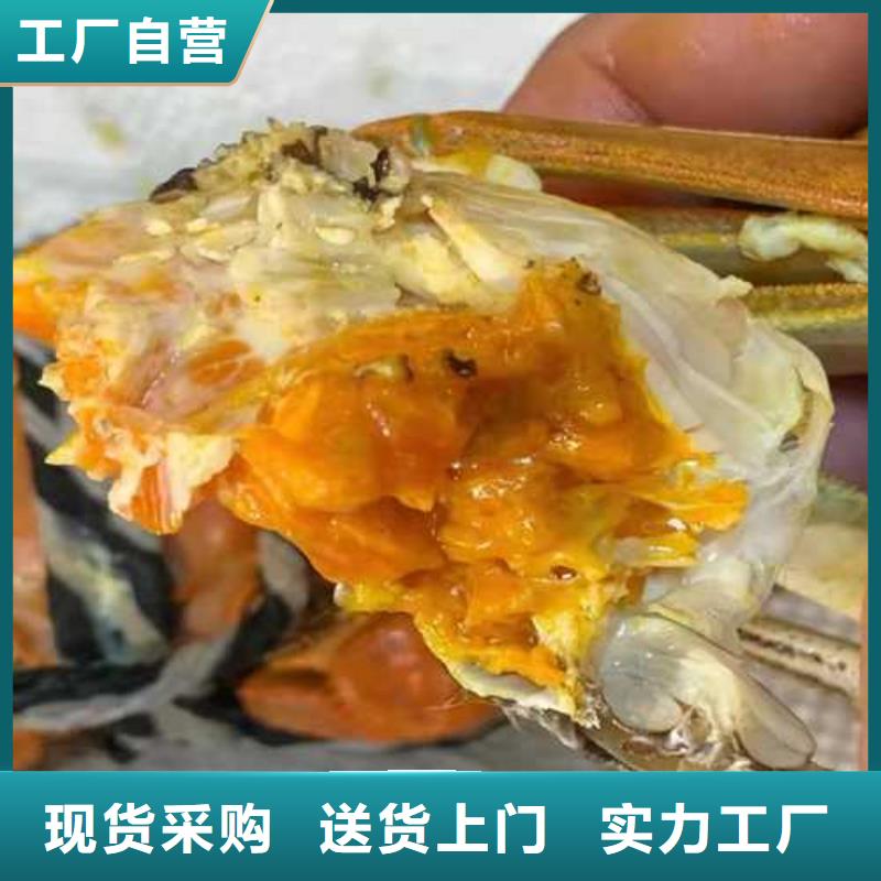 大闸蟹采购热线