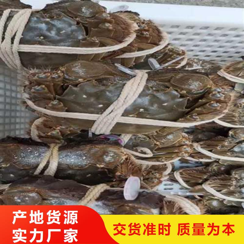 正品阳澄湖大闸蟹礼卡销售