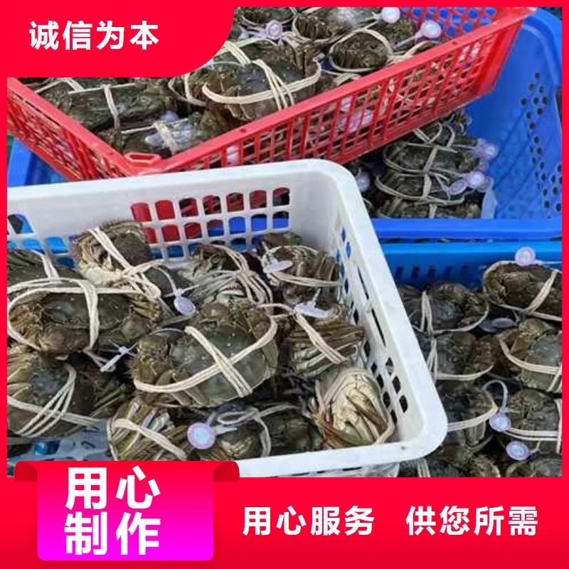 阳澄湖大闸蟹哪里卖