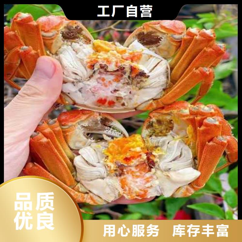 阳澄湖大闸蟹团购