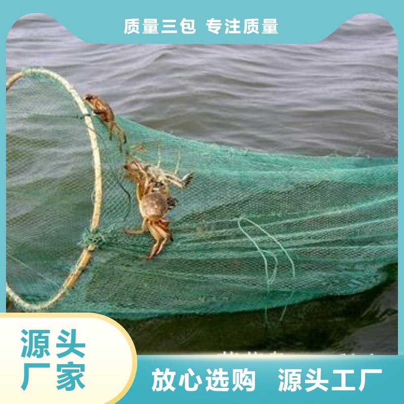 种类丰富【顾记】阳澄湖大螃蟹型号款式按需定制
