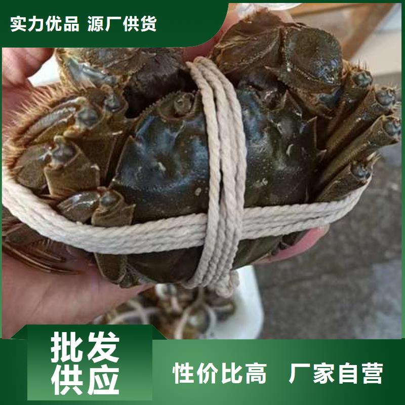 阳澄湖大闸蟹物流送货上门