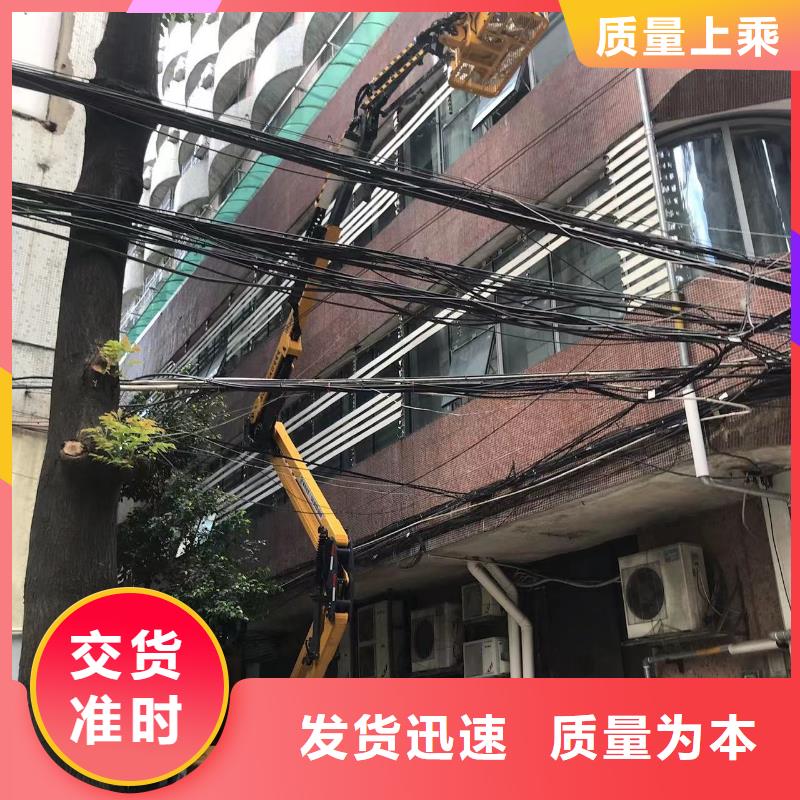 霞山路灯车租赁免费询价