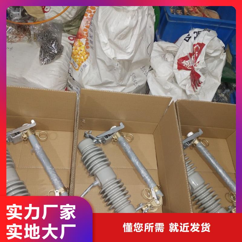 高压熔断器/HRW12-24/100A