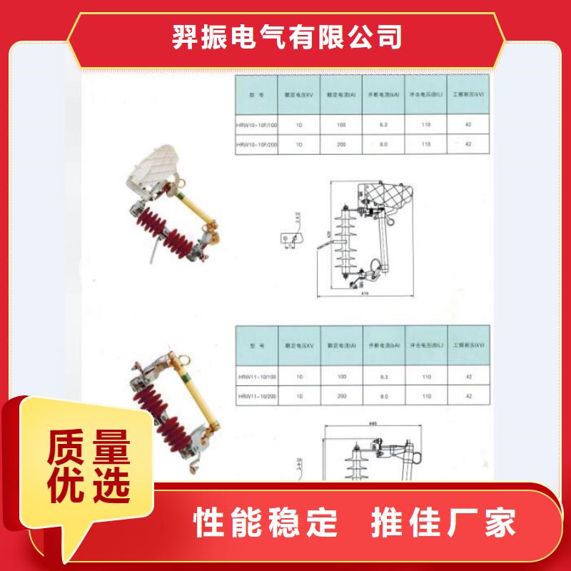 交流熔断器/AC15kV/100A/跌落式/瓷质