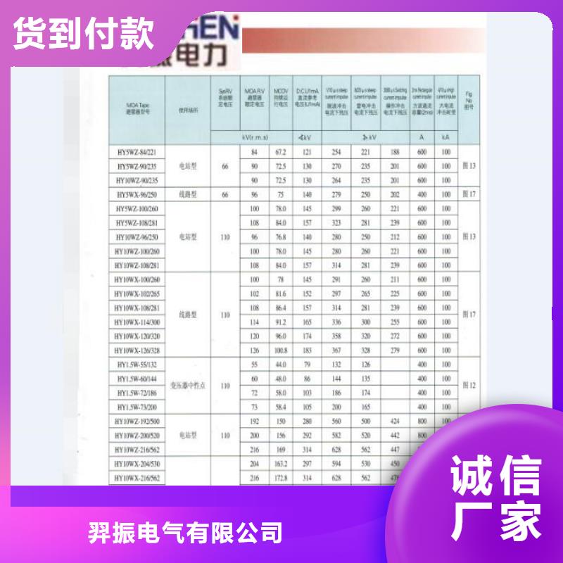 跌落式熔断器RW-12/100-6.3