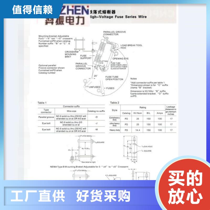 高压熔断器/FSC-15F/100A