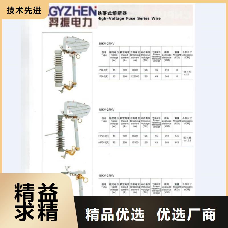 高压熔断器/悬标式户外高压熔断器PRW9-10/200-6.3