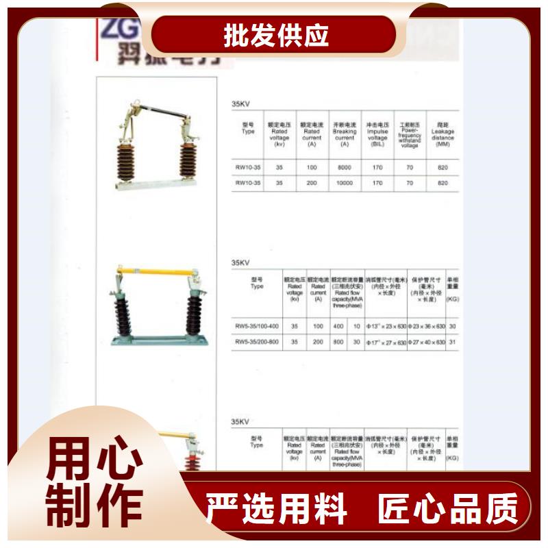 【跌落式熔断器】RW12-10/100浙江羿振电气有限公司