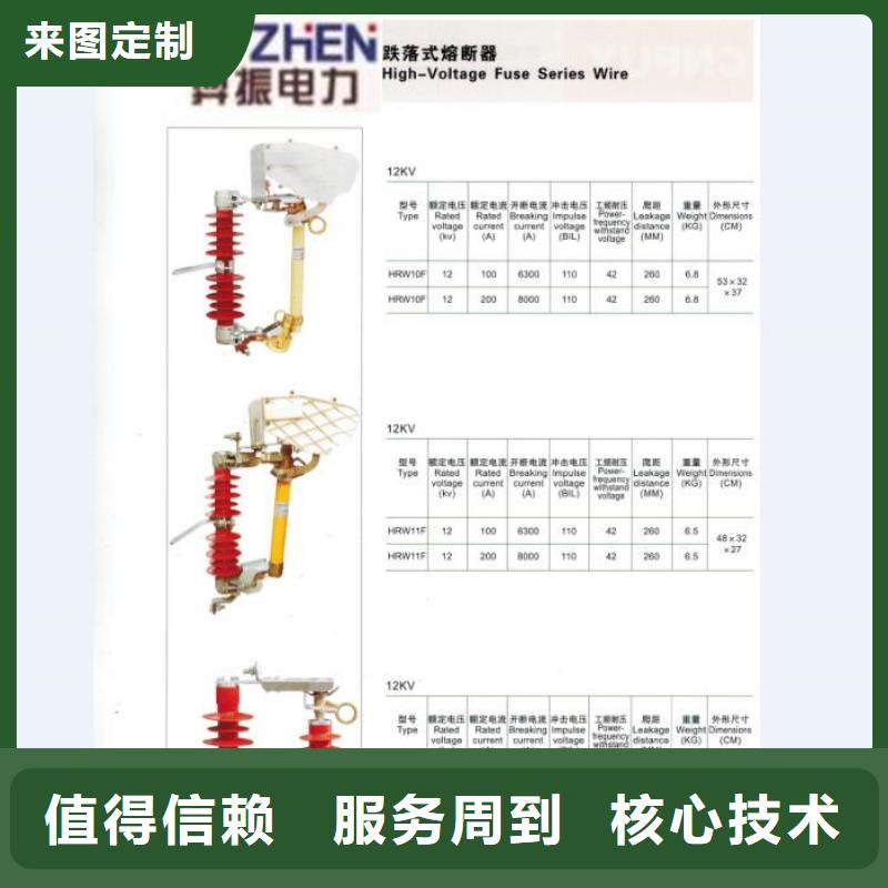 跌落式开关.跌落保险PRW12-11/100A