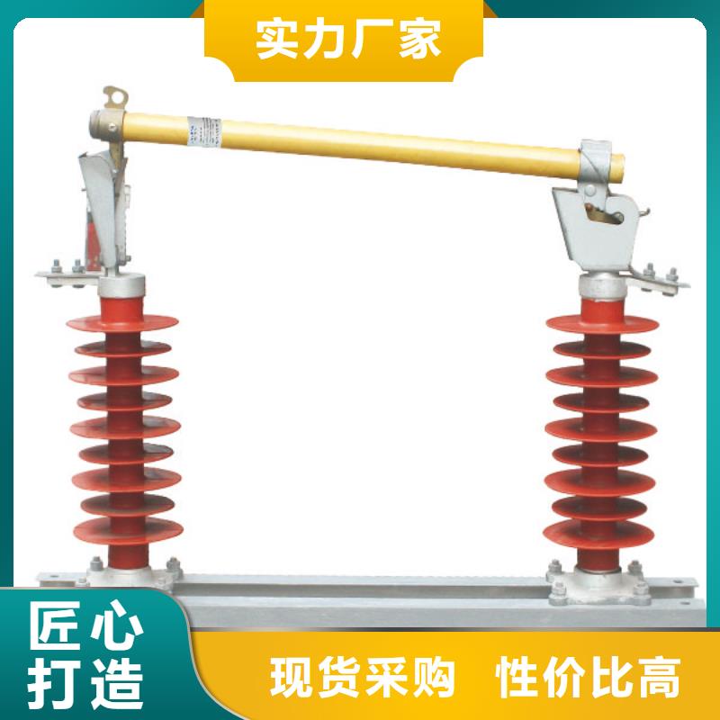 高压熔断器/FSC-15F/100A