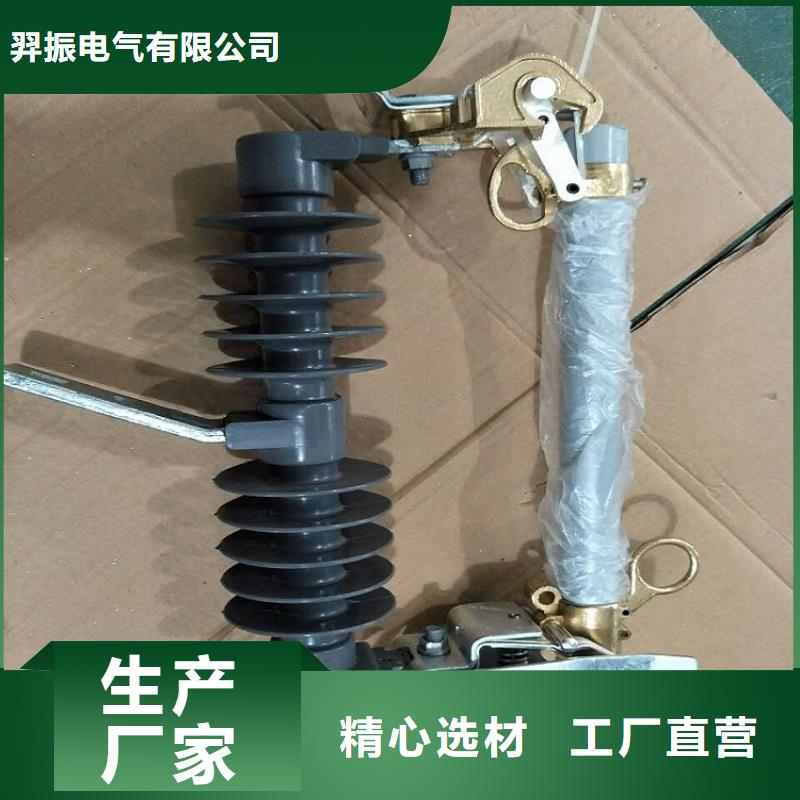 高压熔断器/RTF5-15KV/200A