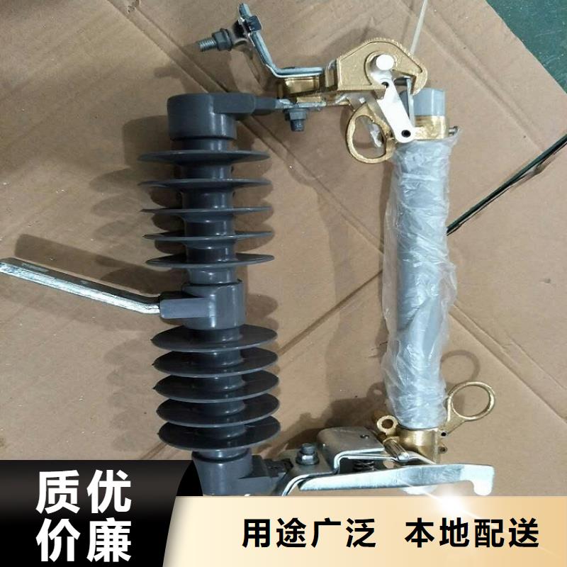 高压熔丝\10KV/15AHRW4-10/100带盖快熔