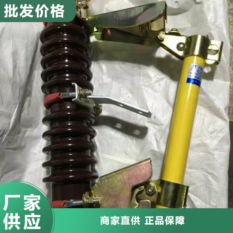 高压熔断器/RW7-10KV.HRW7-10