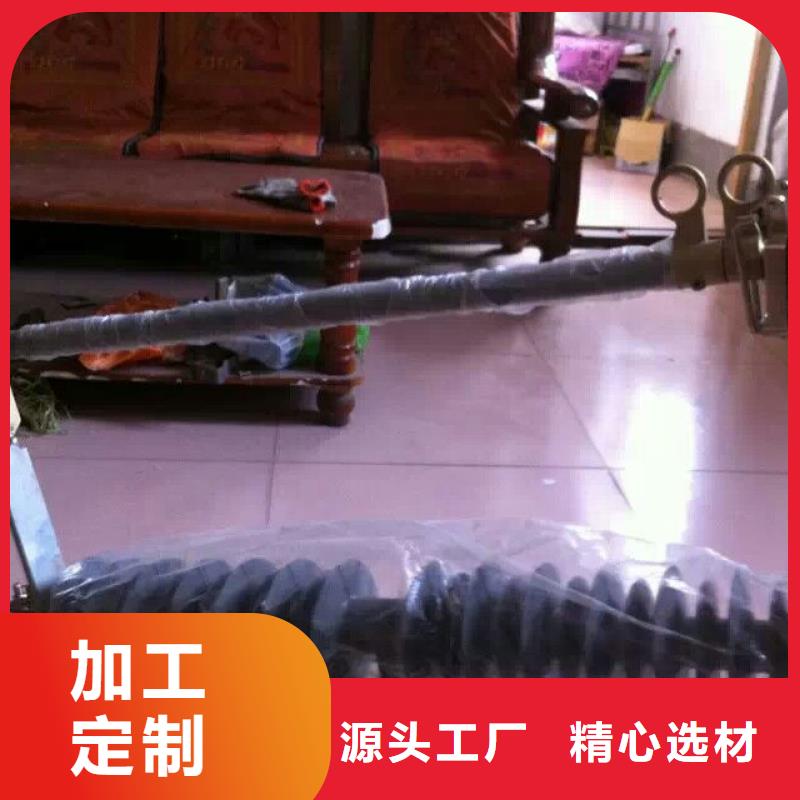 跌落式熔断器_RW12-10F/100A