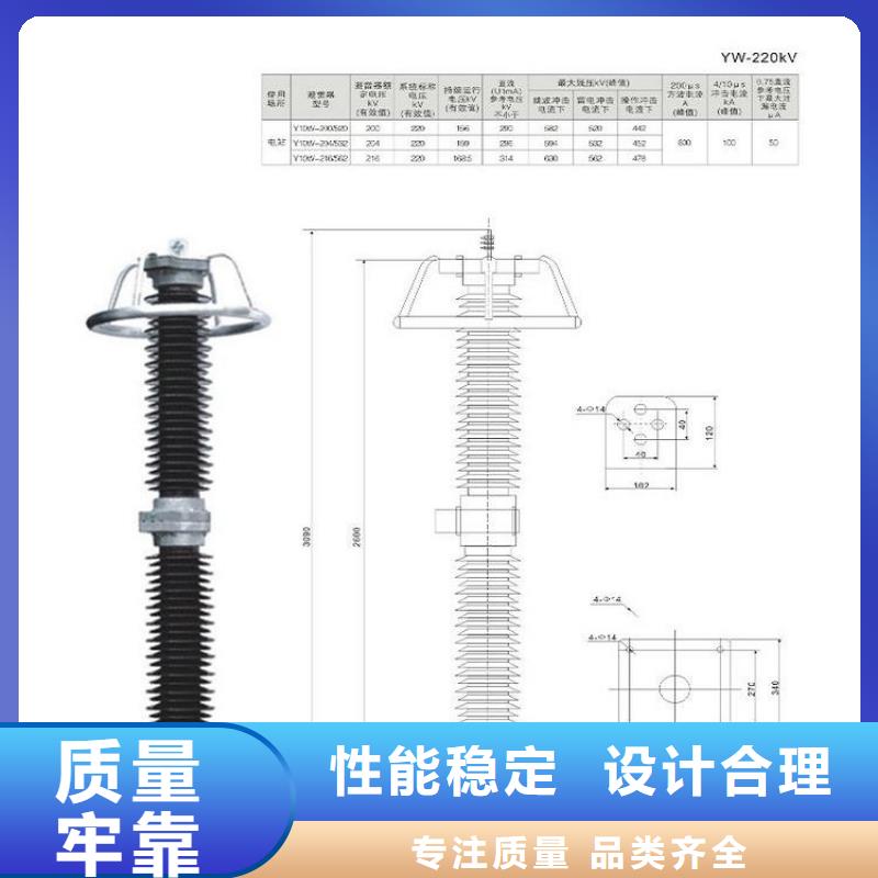 避雷器HY10WZ2-204/532S