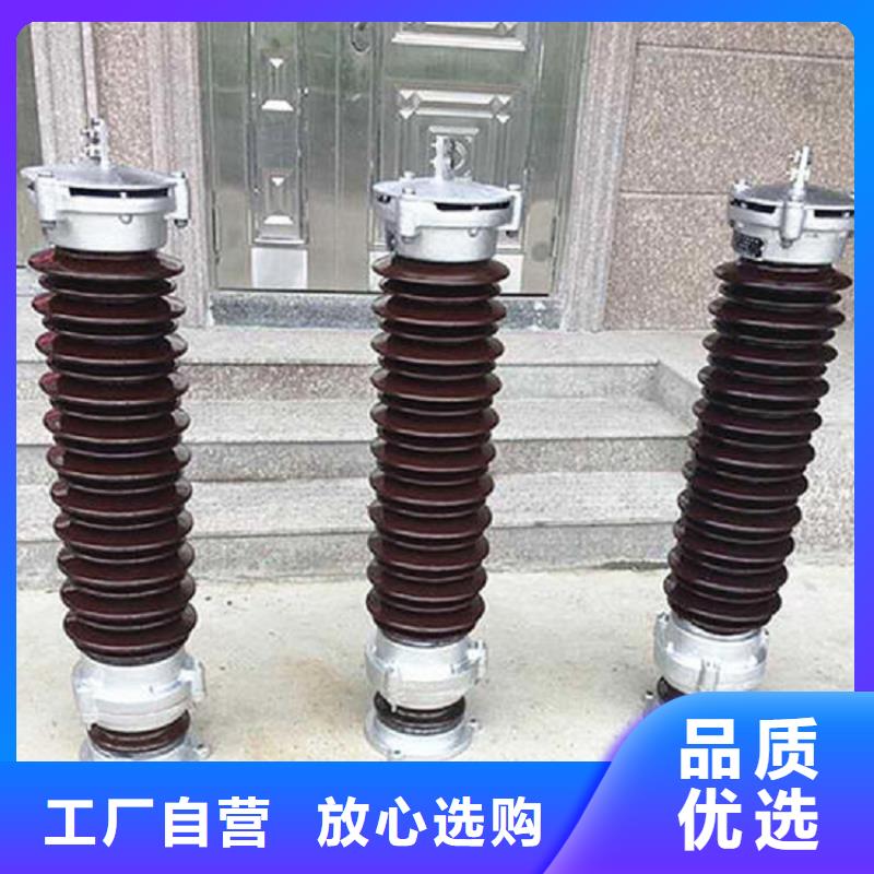 金属氧化物避雷器HY10WZ-51/134GY