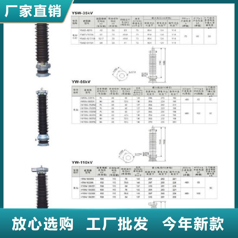 【羿振电气】避雷器HY10WZ-54/134