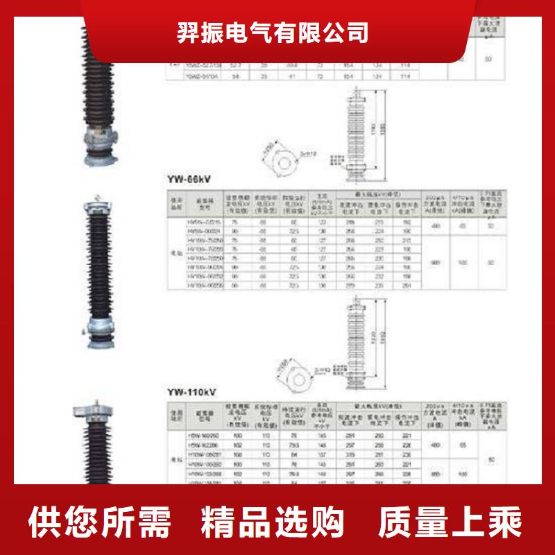 避雷器YH5WS1-10/30