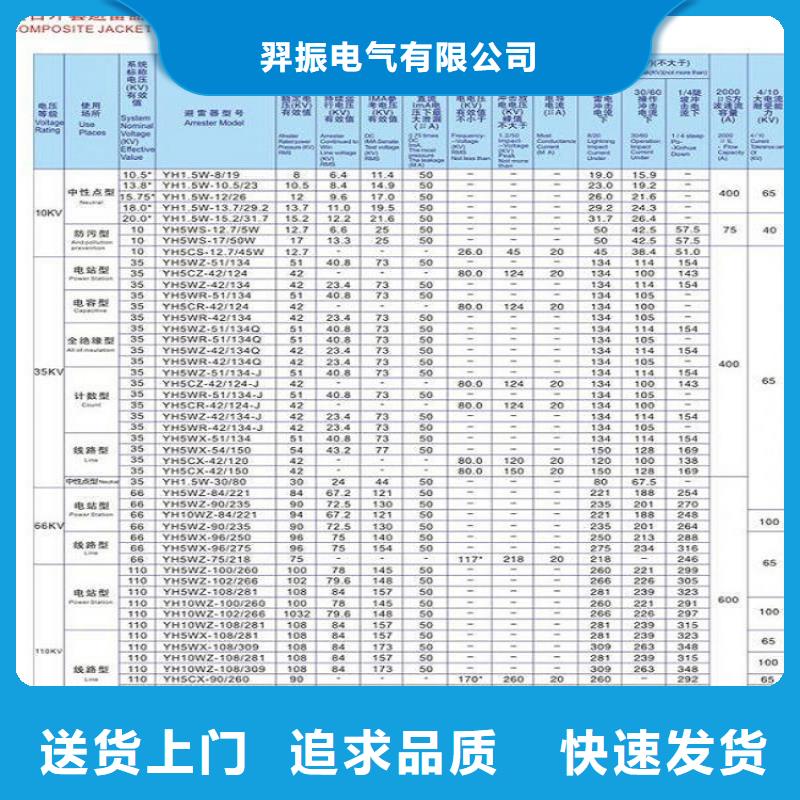 避雷器Y10W-216/562浙江羿振电气有限公司