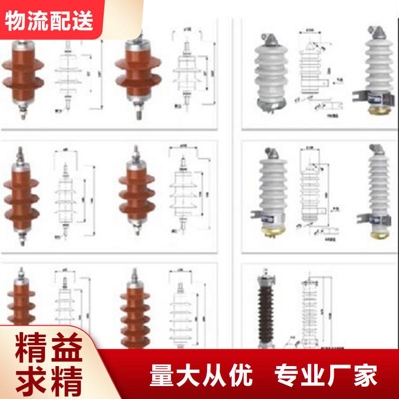 避雷器HY10WZ2-204/532S