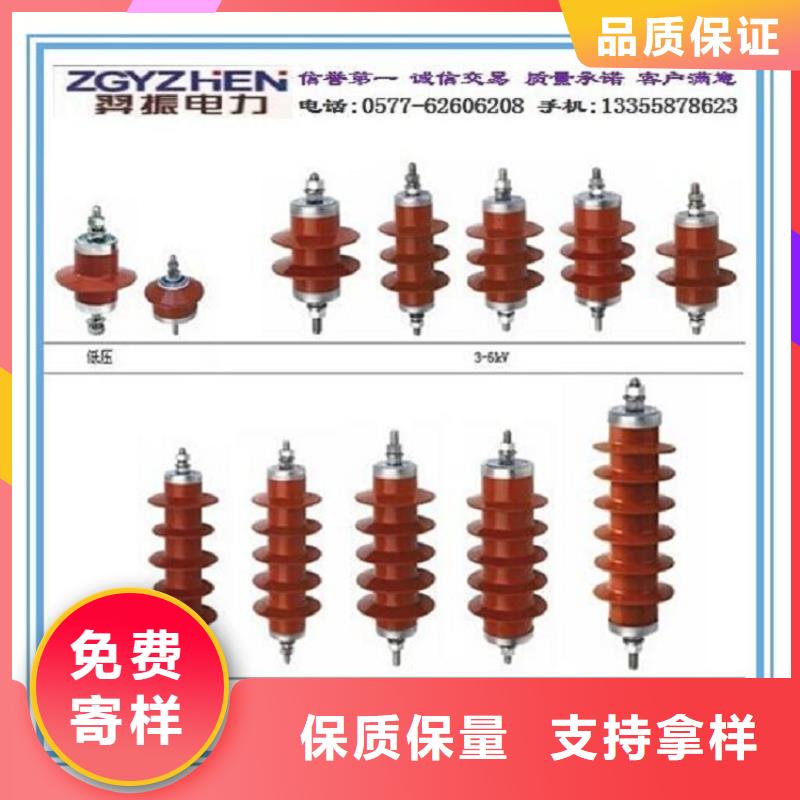 避雷器Y10W1-96/250(G)W